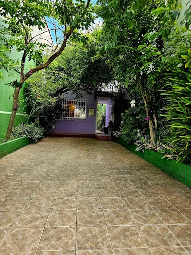 Entrada arborizada e jardim do espaço da Presente Psicologia com caminho pavimentado e ambiente acolhedor